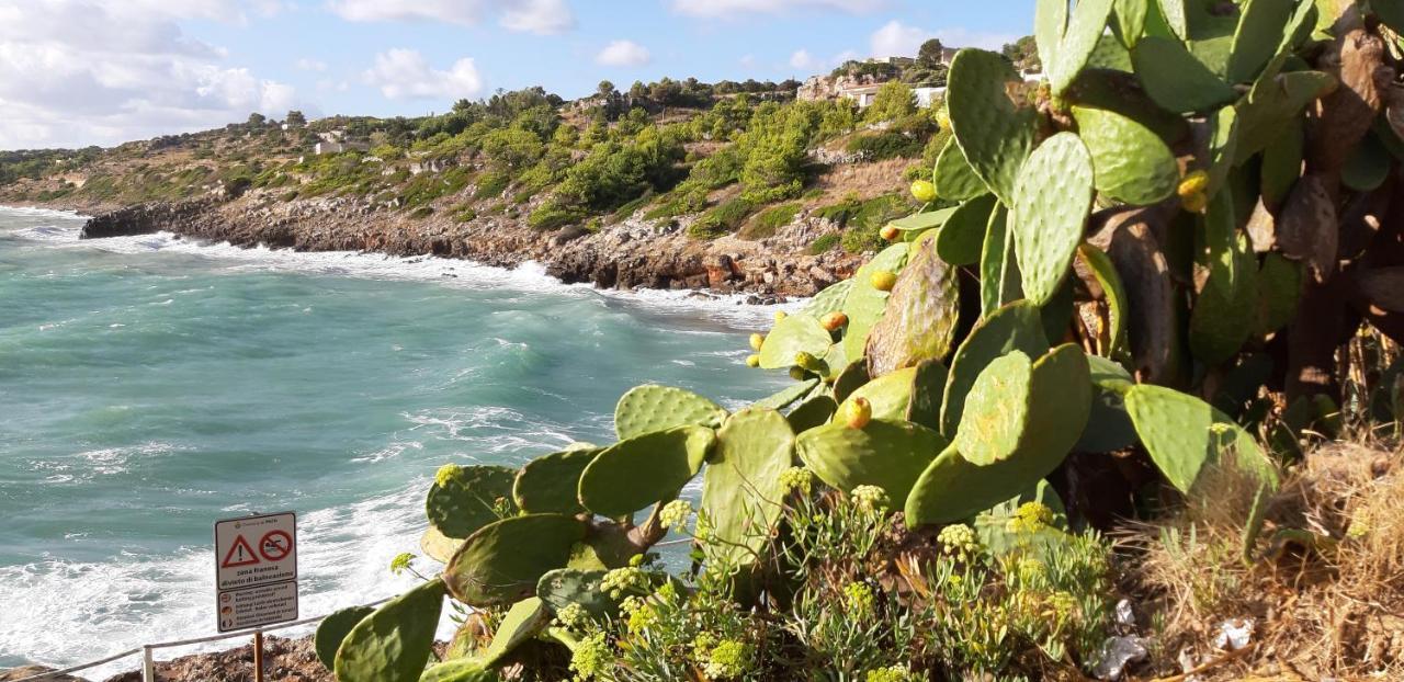 La Casetta Di Francesca Santa Maria di Leuca Extérieur photo